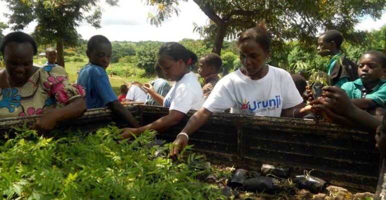 Tree planting activities
